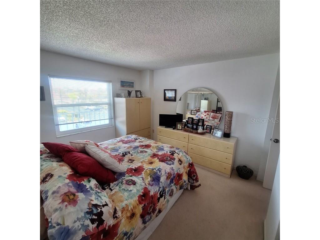 719 Pinellas Bayway S #203 Tierra Verde FL 33715 TB8409070 image32