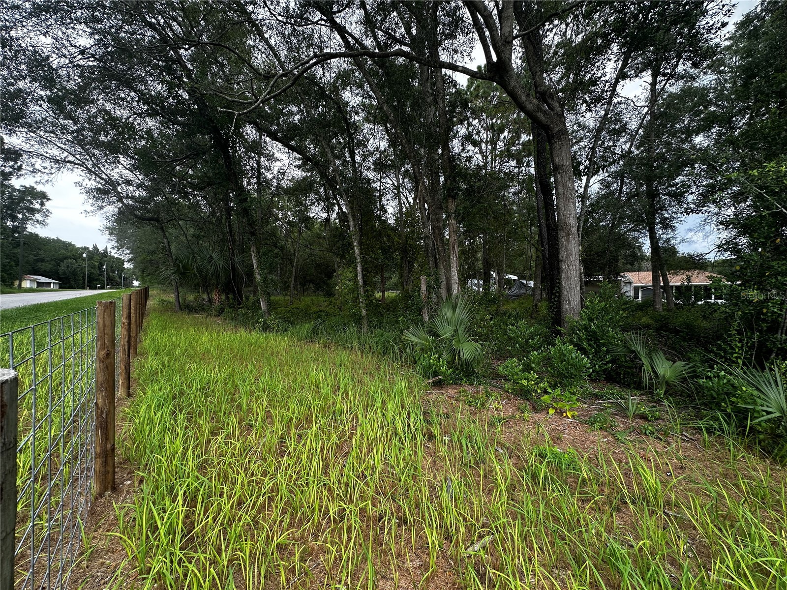719 S Arlene Avenue Inverness FL 34453 OM728493 image10