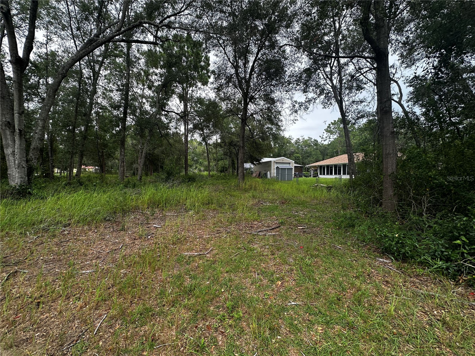 719 S Arlene Avenue Inverness FL 34453 OM728493 image12