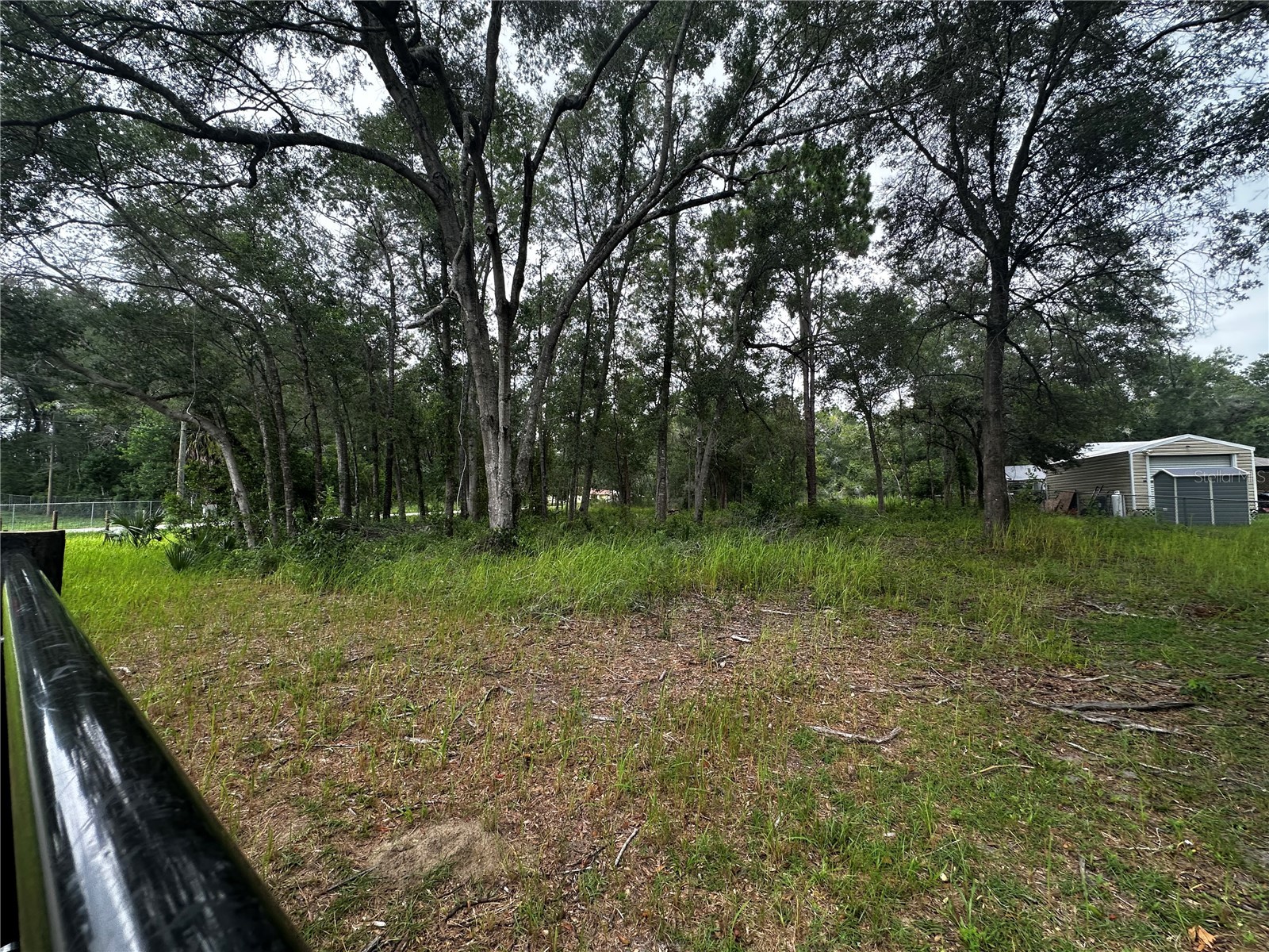 719 S Arlene Avenue Inverness FL 34453 OM728493 image13