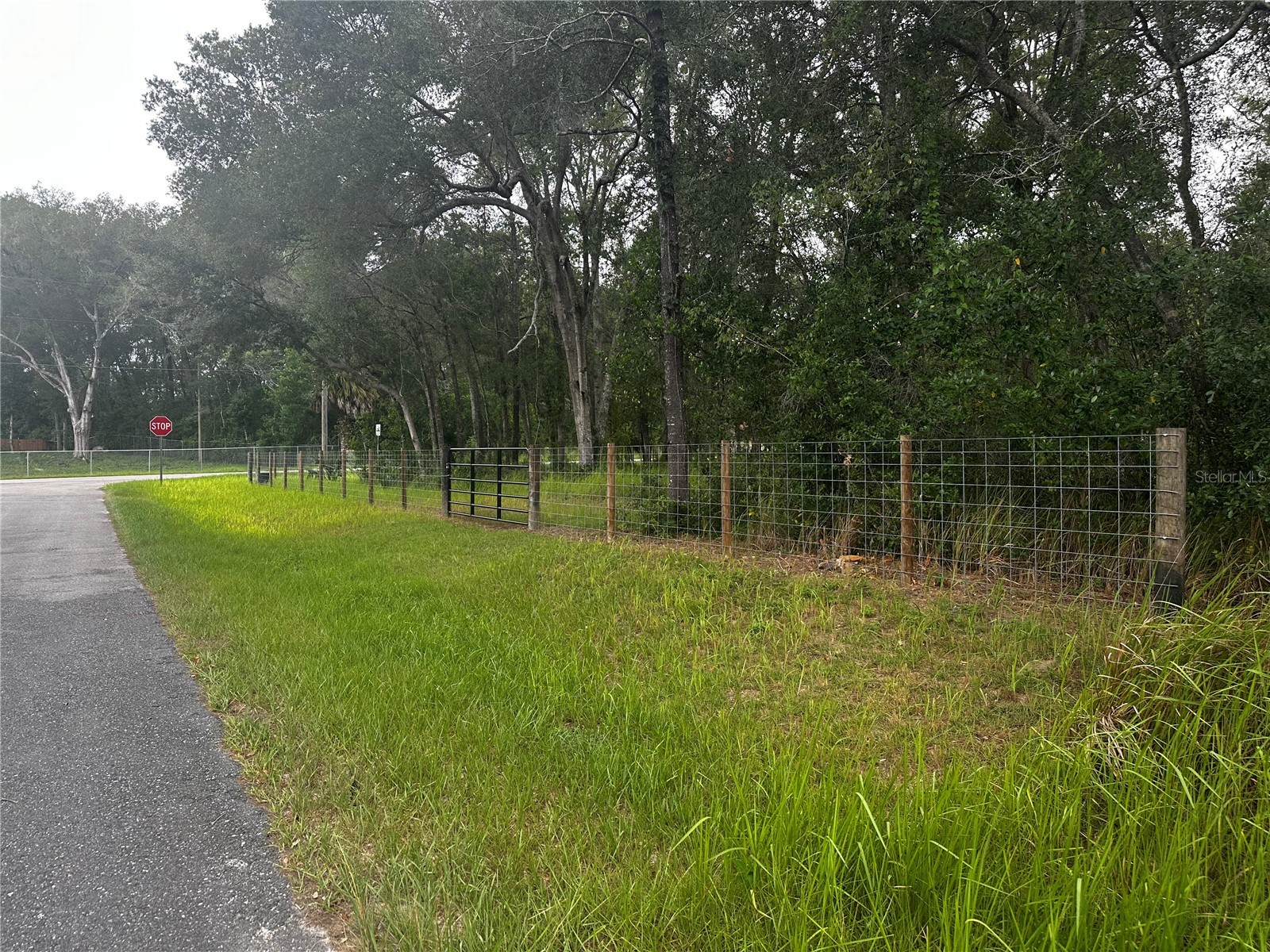 719 S Arlene Avenue Inverness FL 34453 OM728493 image2