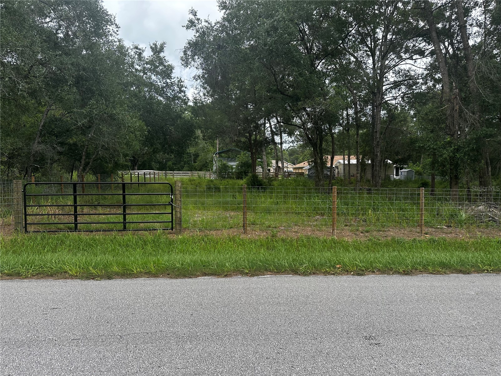 719 S Arlene Avenue Inverness FL 34453 OM728493 image5