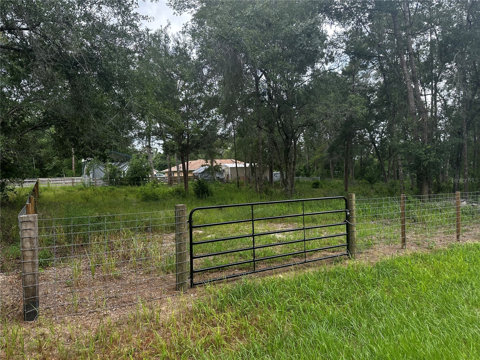 719 S Arlene Avenue Inverness FL 34453 OM728493 image6