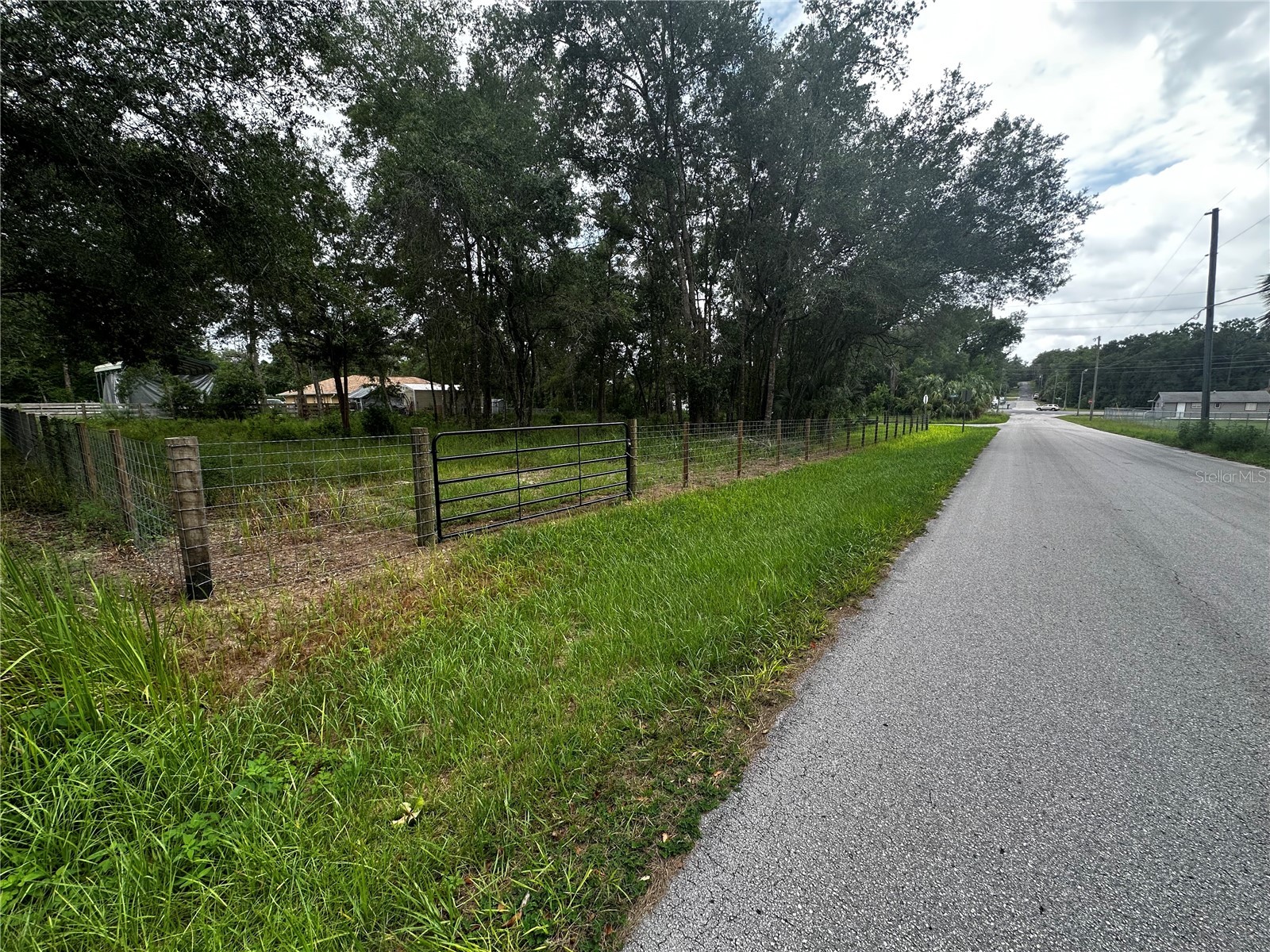 719 S Arlene Avenue Inverness FL 34453 OM728493 image7