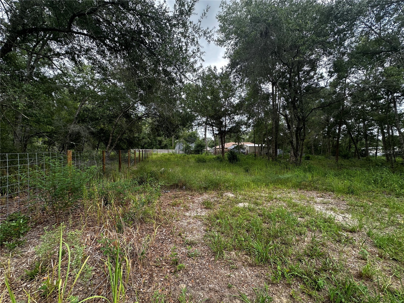 719 S Arlene Avenue Inverness FL 34453 OM728493 image8