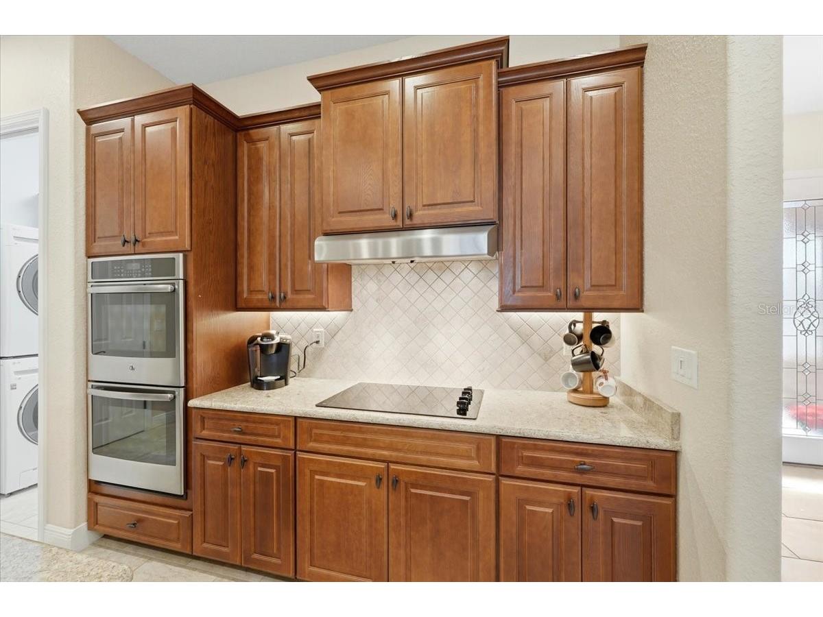 719 Teaberry Trail Polk City FL 33868 L4959184 image19