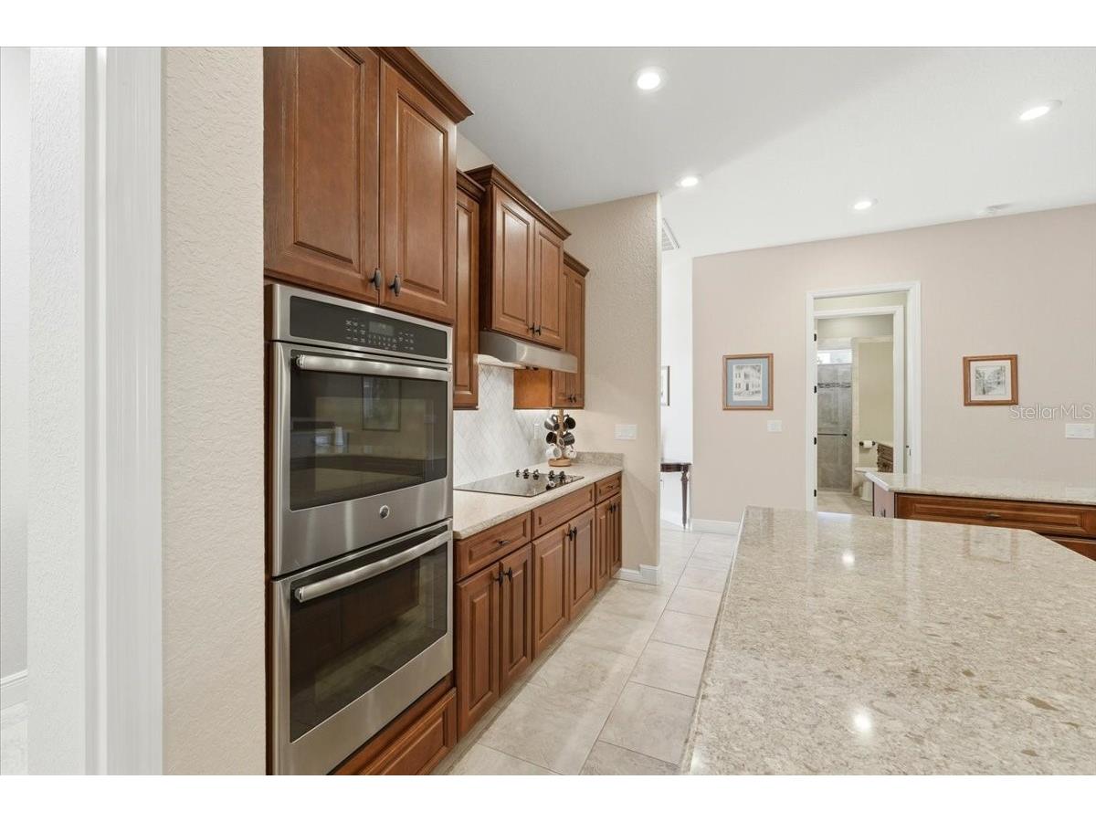 719 Teaberry Trail Polk City FL 33868 L4959184 image20
