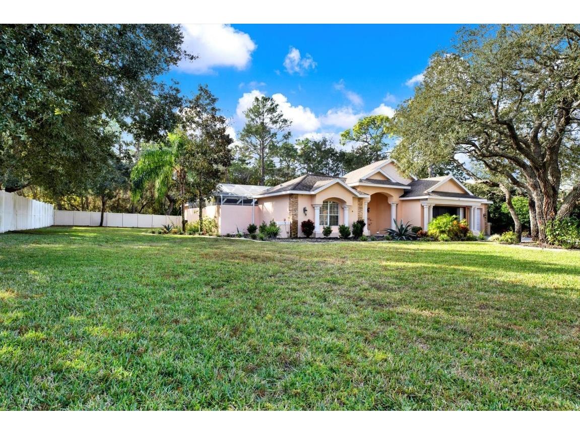 7190 Raymond Place Spring Hill FL 34607 W7881568 image3