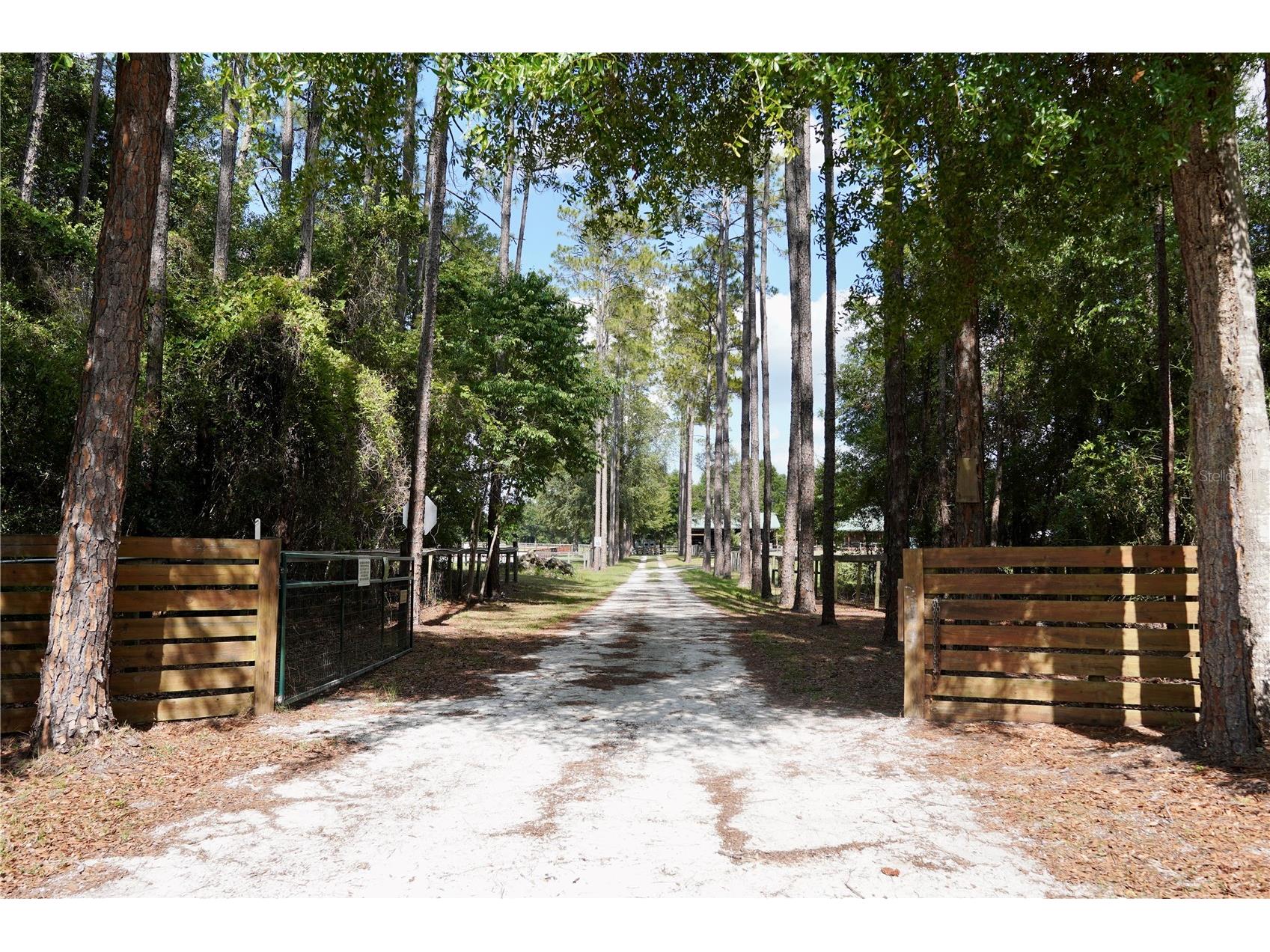 7191 NE 150th Avenue Williston FL 32696 OM725615 image2