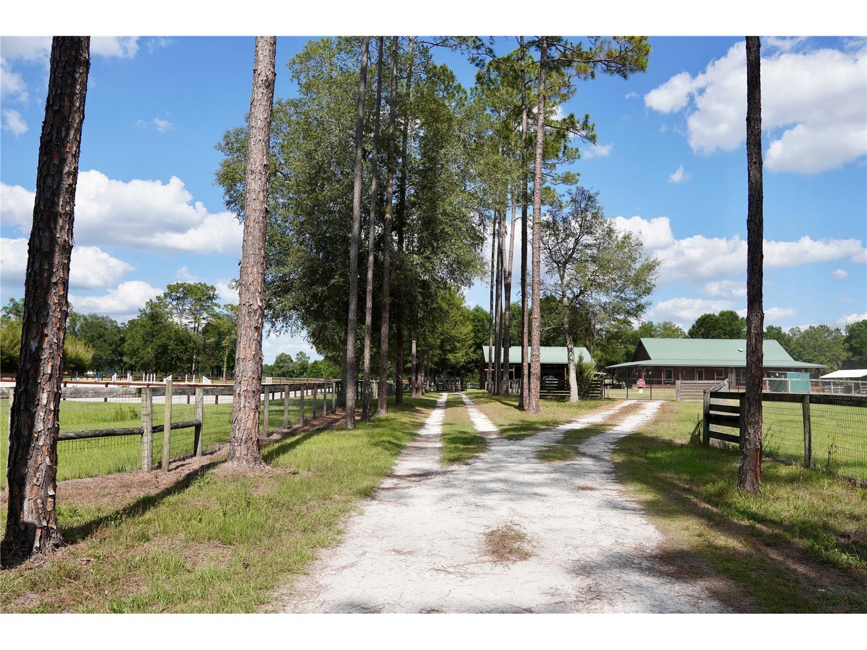 7191 NE 150th Avenue Williston FL 32696 OM725615 image3