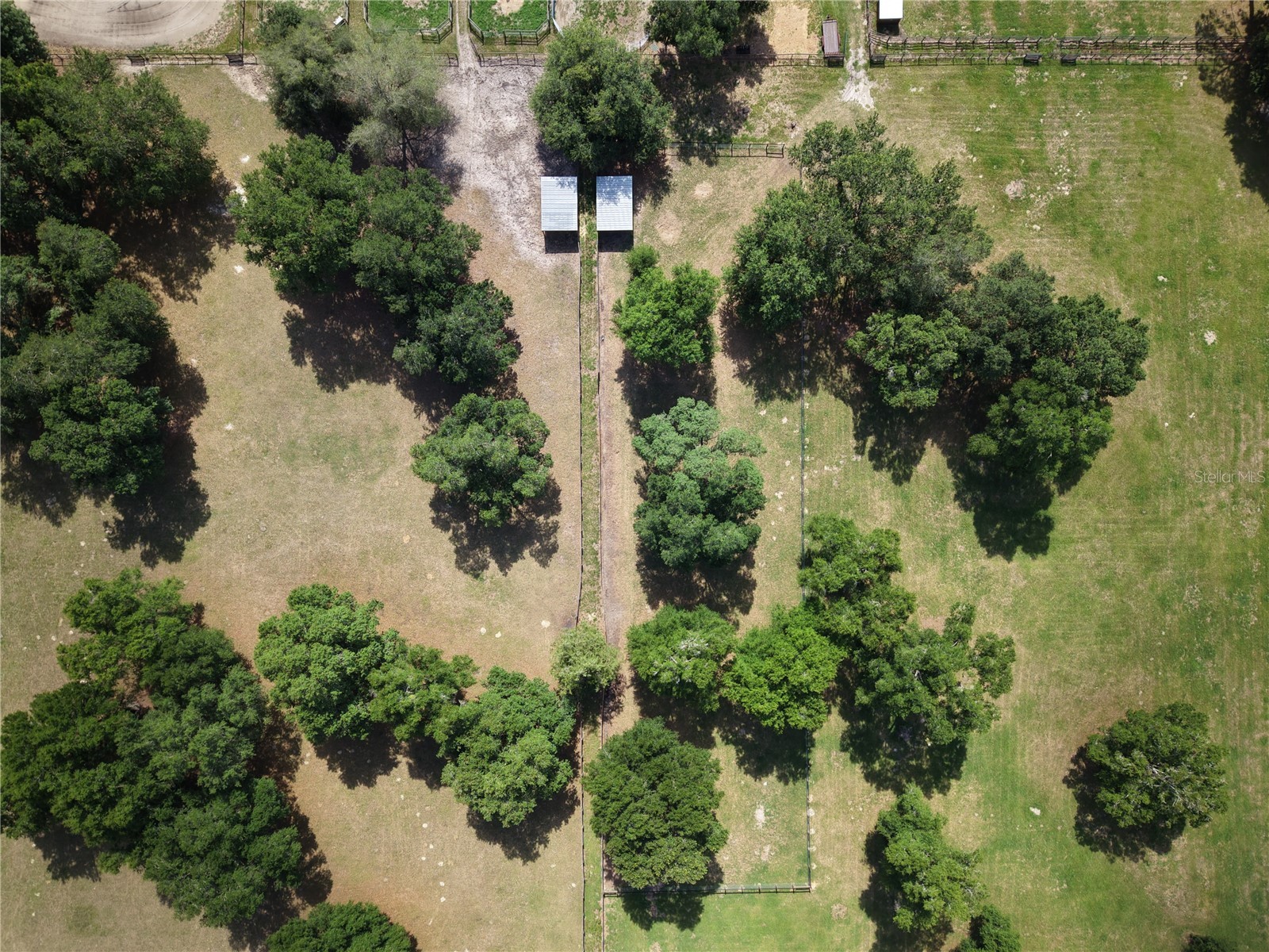 7191 NE 150th Avenue Williston FL 32696 OM725615 image39