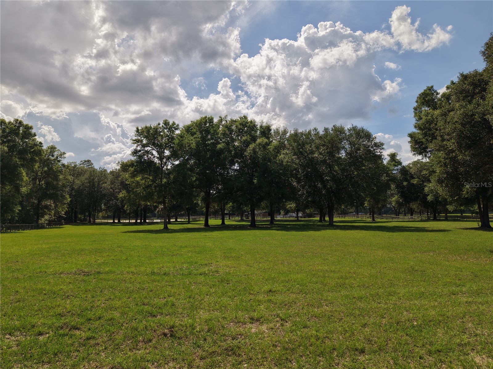 7191 NE 150th Avenue Williston FL 32696 OM725615 image40