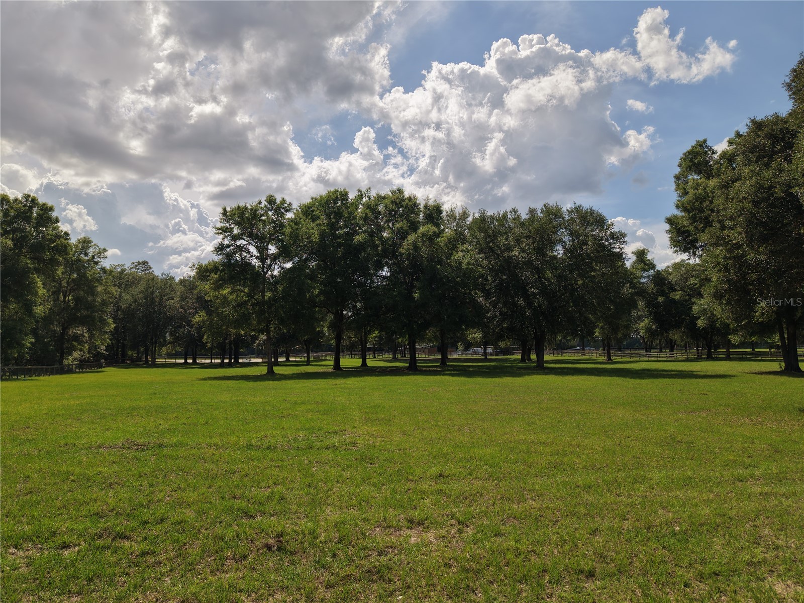 7191 NE 150th Avenue Williston FL 32696 OM725615 image41