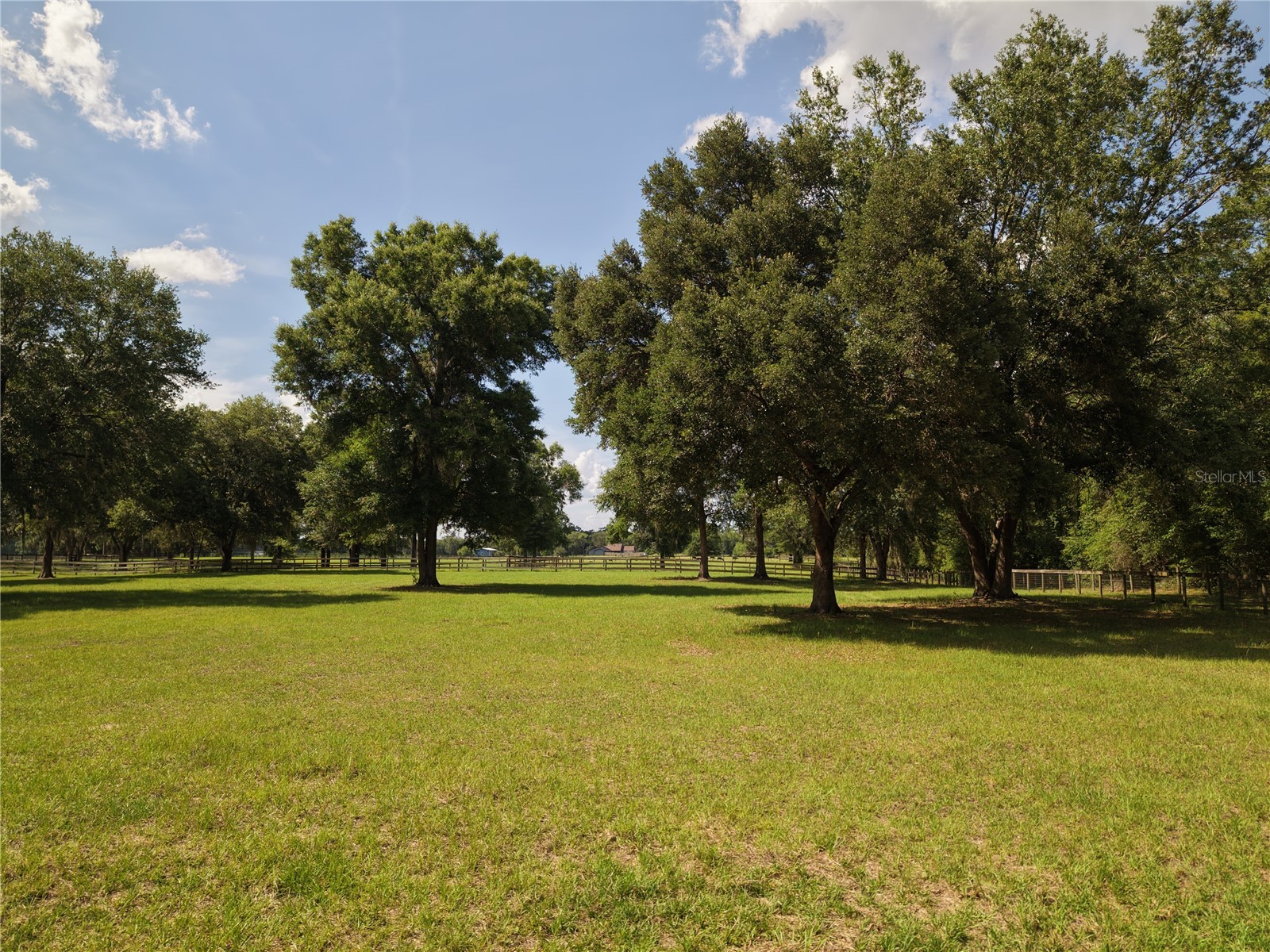 7191 NE 150th Avenue Williston FL 32696 OM725615 image43