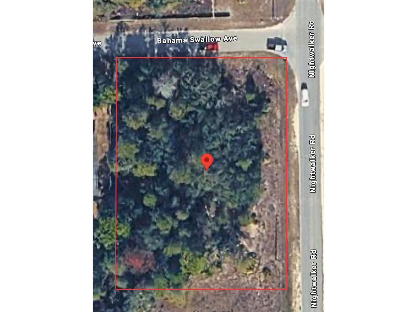 7191 Nightwalker Road Brooksville FL 34613 TB8486252 image1