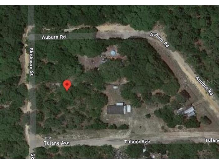 7191 Skidmore Street Keystone Heights FL 32656 OK223602 image1