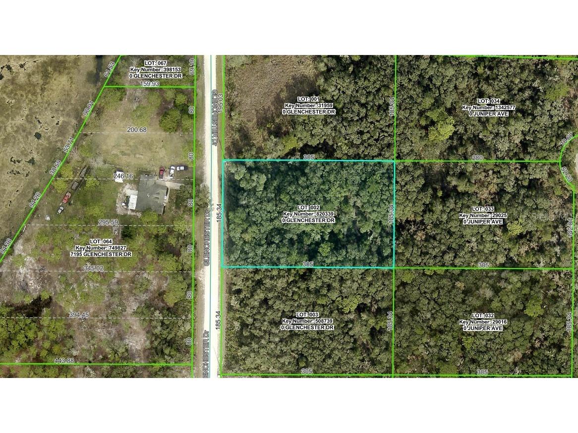 7192 Glenchester Drive Webster FL 33597 OM714207 image2