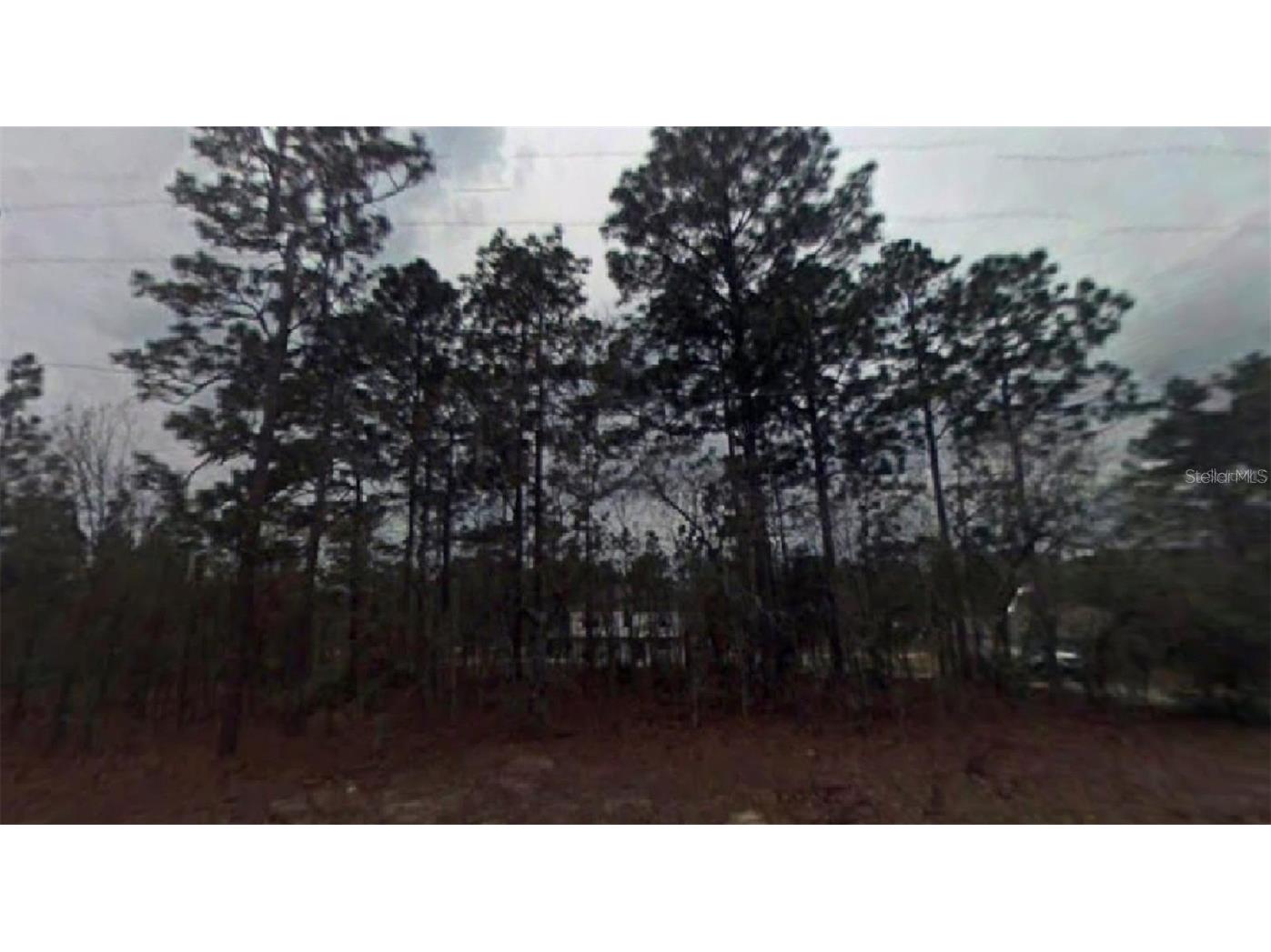 7192 N Gibralter Drive Citrus Springs FL 34434 O6190266 image1