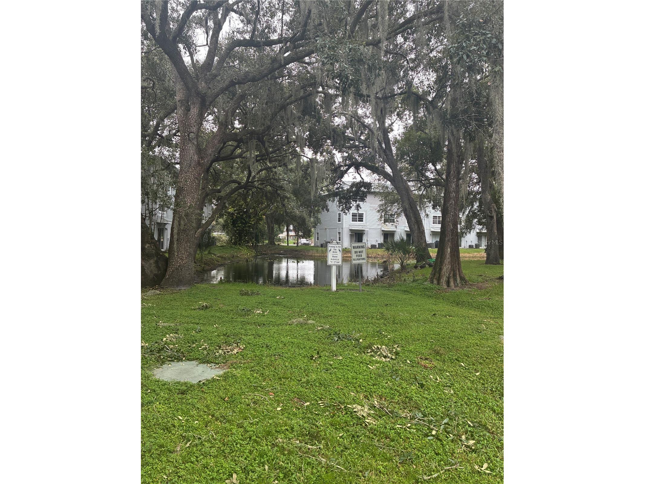 7193 E Bank Dr Tampa FL 33617 TB8459512 image14