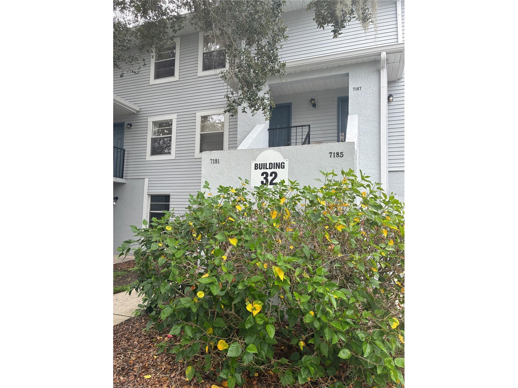 7193 E Bank Dr Tampa FL 33617 TB8459512 image16