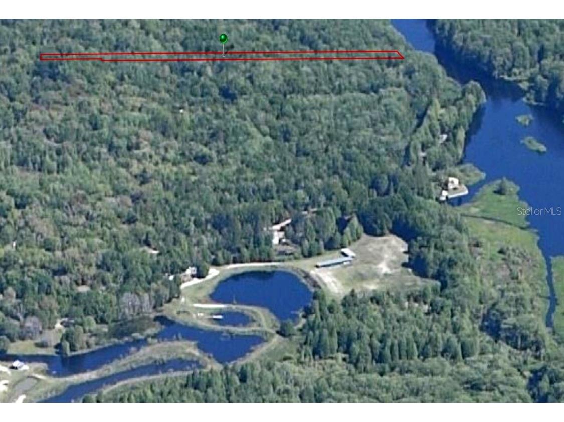 7193 N Toosie Point Hernando FL 34442 - WITHLACOOCHEE RIVER U8163106 image1