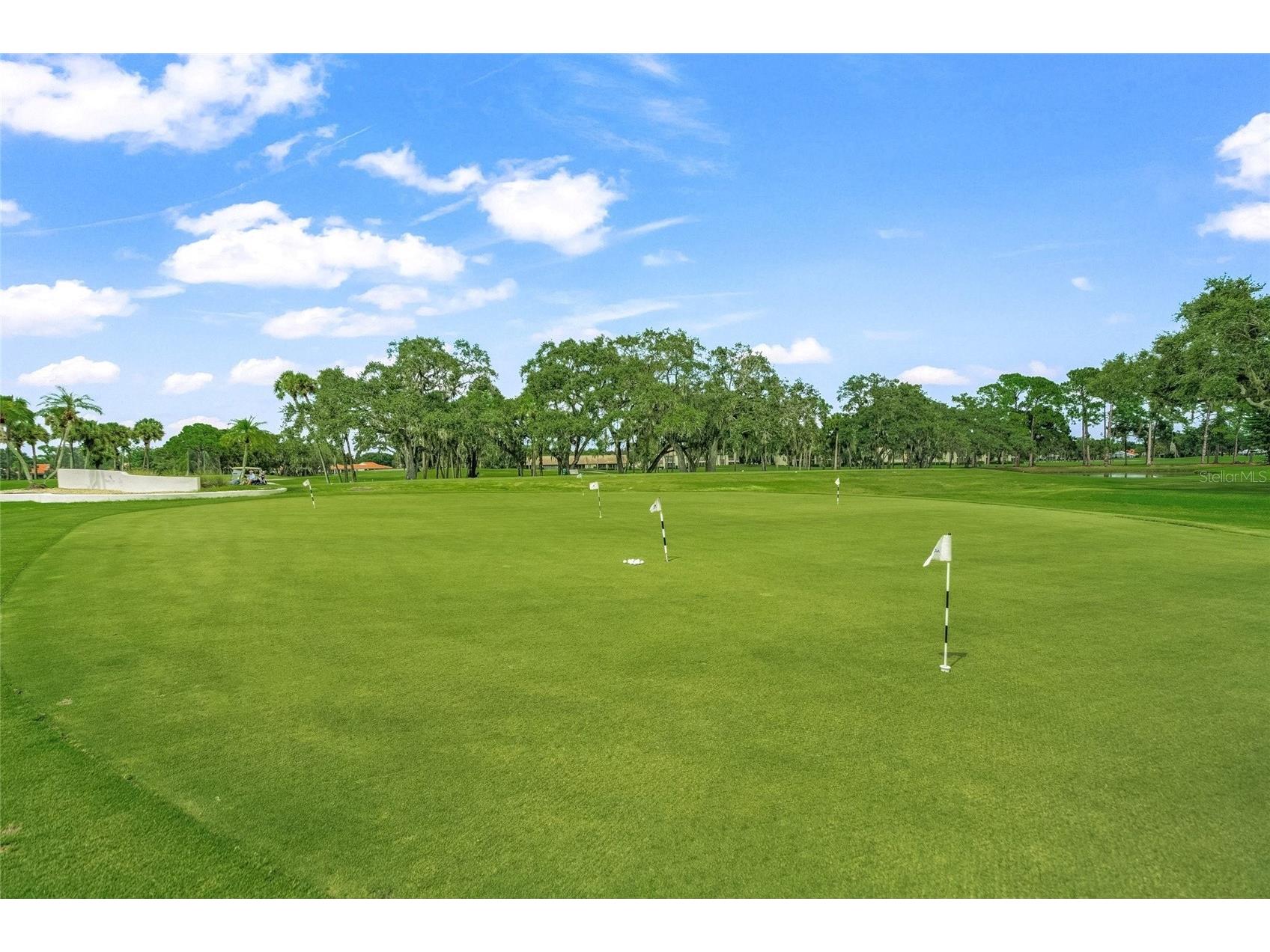 7193 W Country Club Drive N #237 Sarasota FL 34243 A4680028 image42