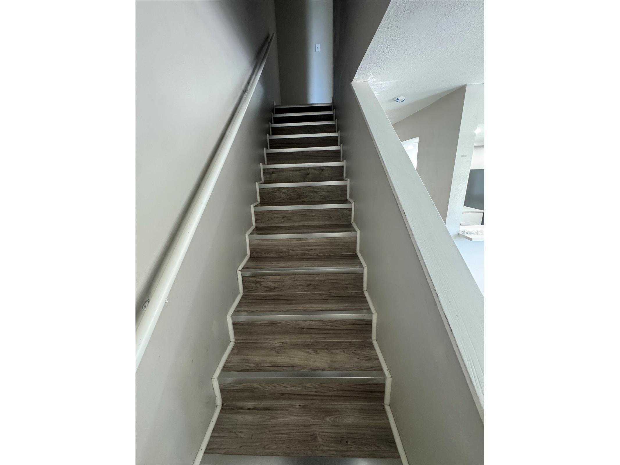 7195 E Bank Drive #206 Tampa FL 33617 TB8525561 image18