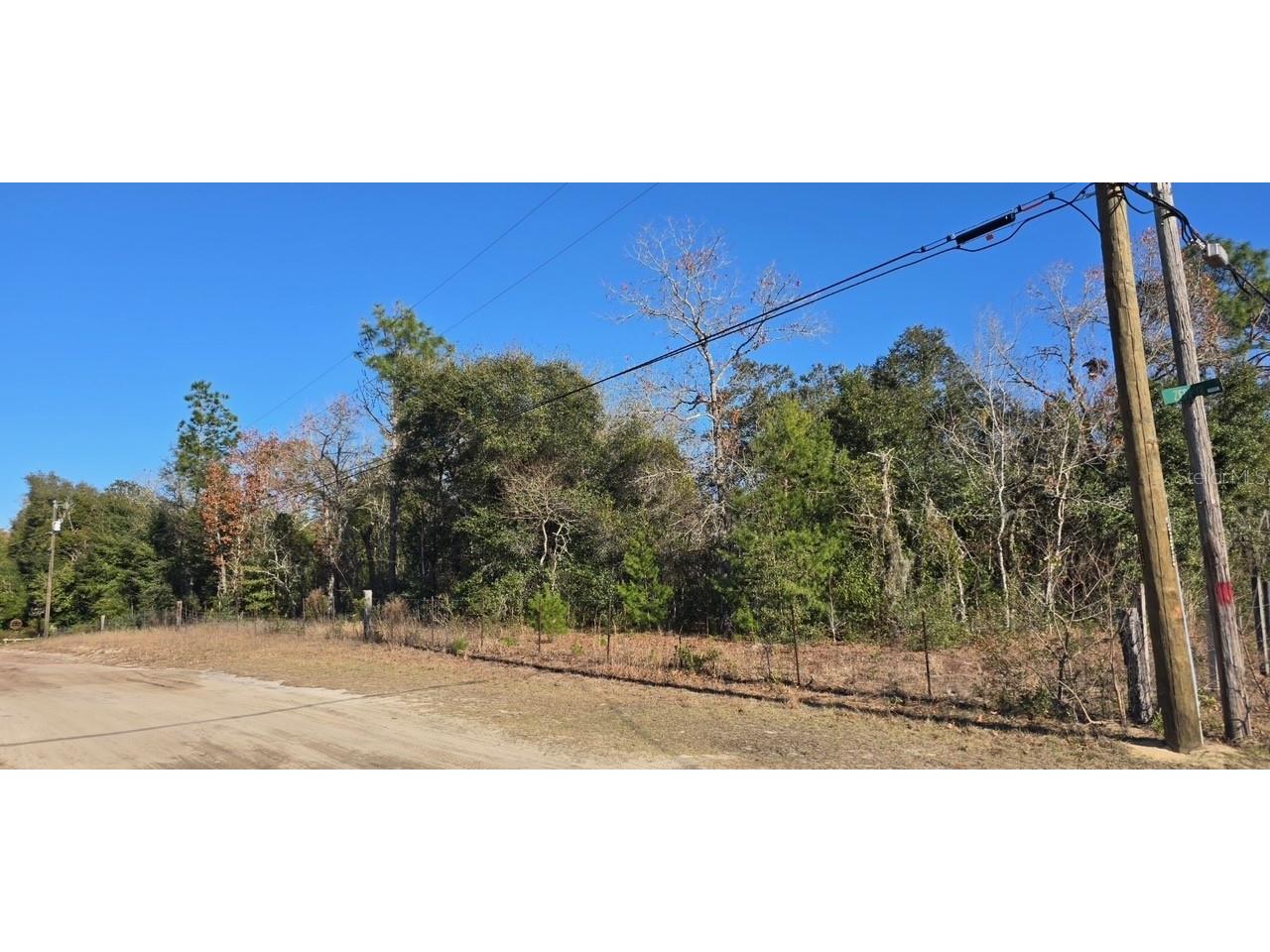 7195 Gas Line Road Keystone Heights FL 32656 V4946800 image1