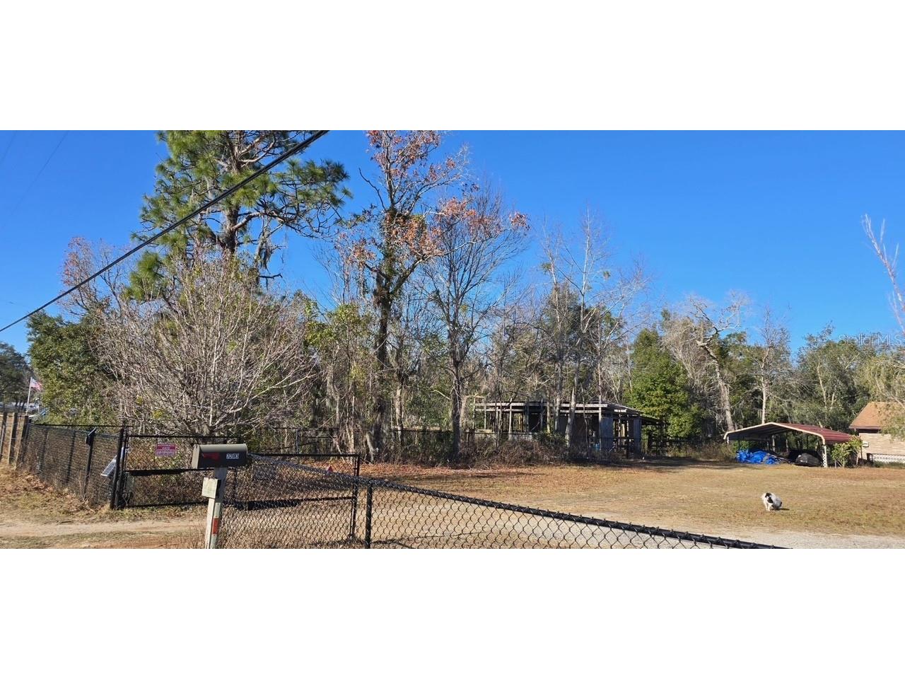 7195 Gas Line Road Keystone Heights FL 32656 V4946800 image2