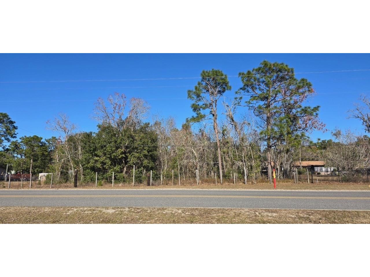 7195 Gas Line Road Keystone Heights FL 32656 V4946800 image6