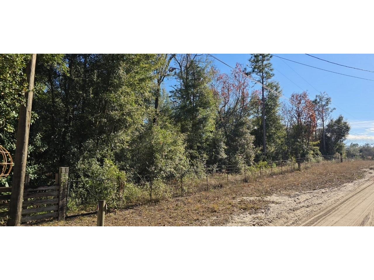 7195 Gas Line Road Keystone Heights FL 32656 V4946800 image8