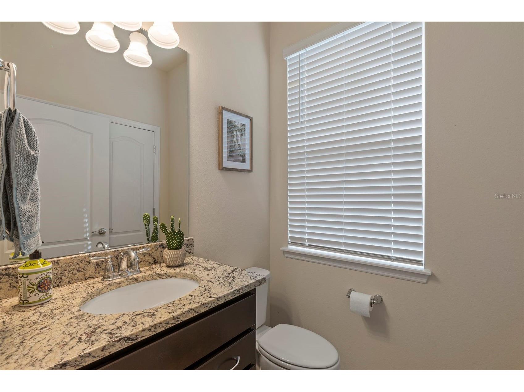 7195 Oakmoss Loop Davenport FL 33837 O6399547 image22