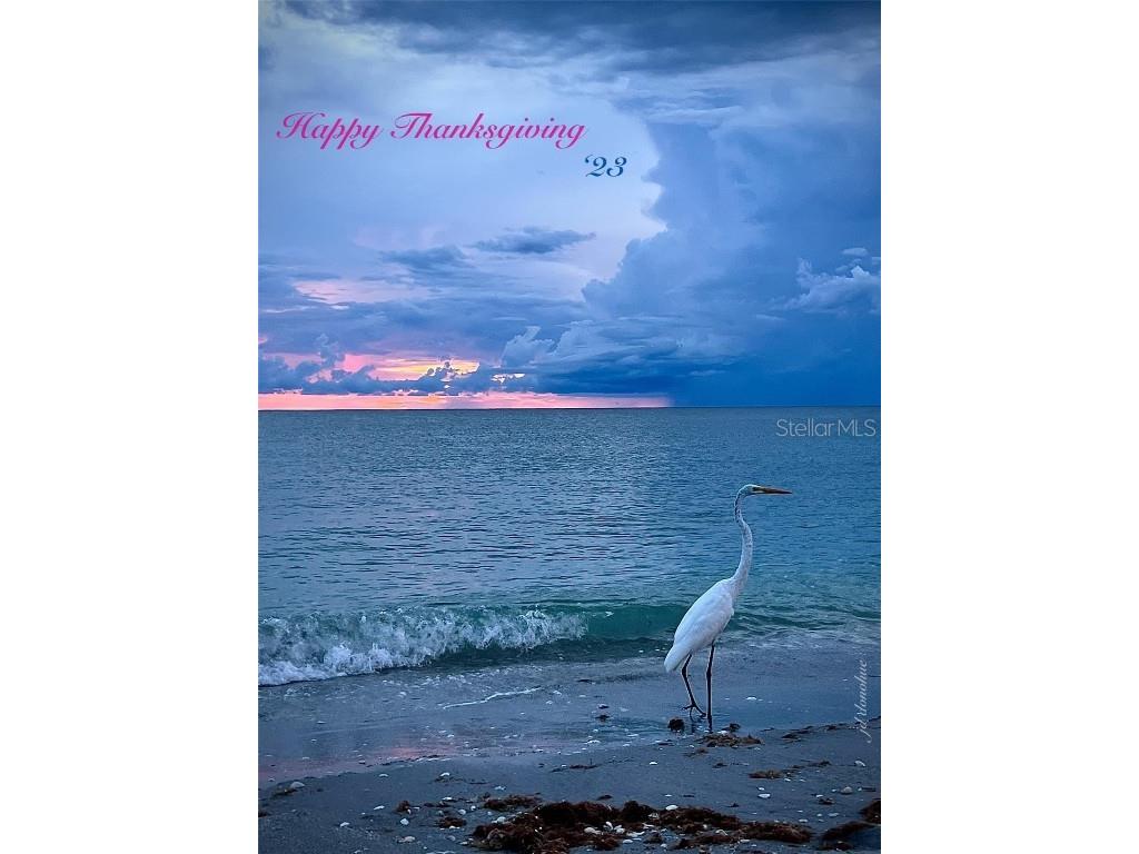 72 4th Avenue #72 Venice FL 34285 A4653730 image27