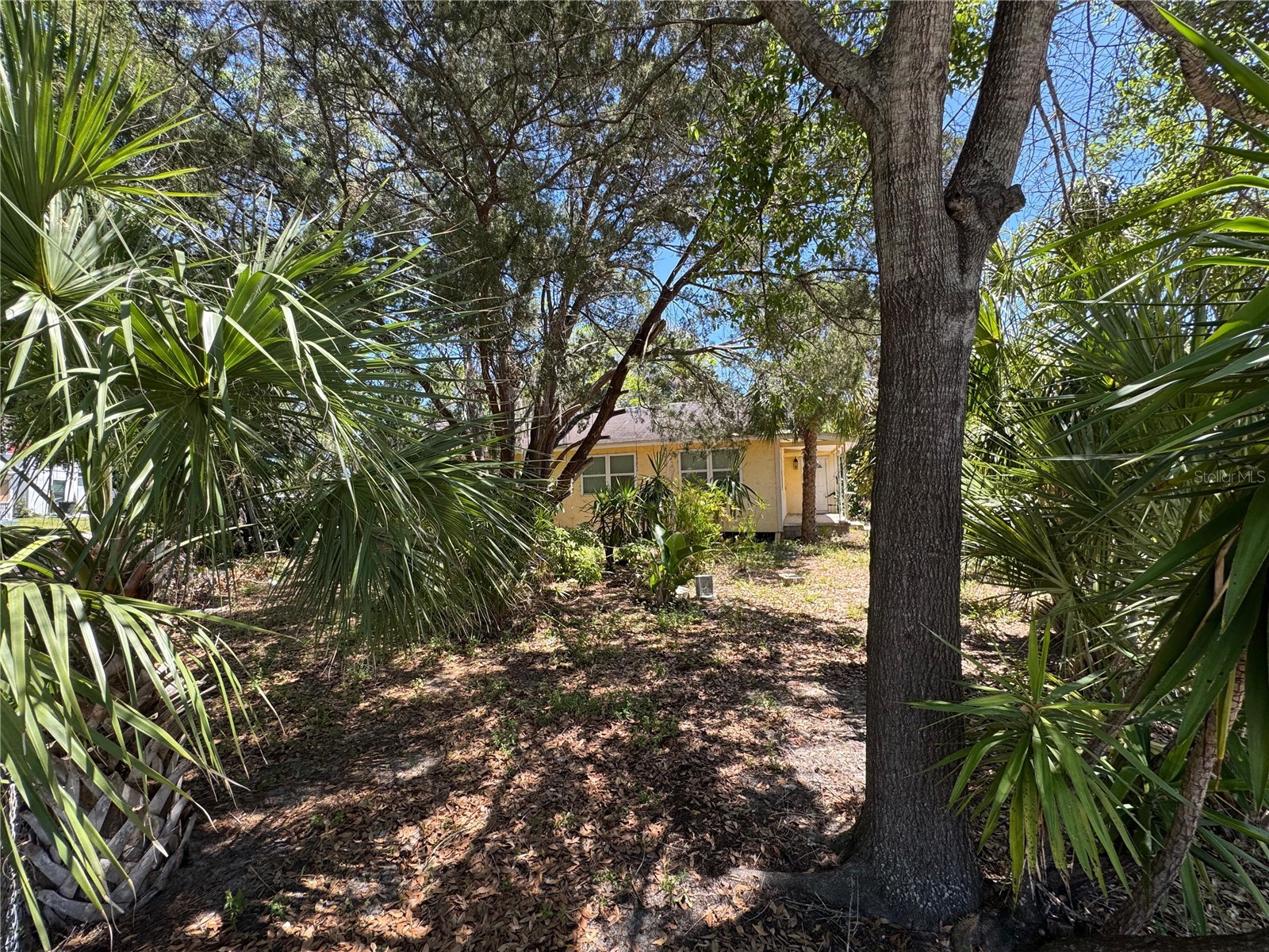 72 Ada Street Tarpon Springs FL 34689 TB8499330 image12