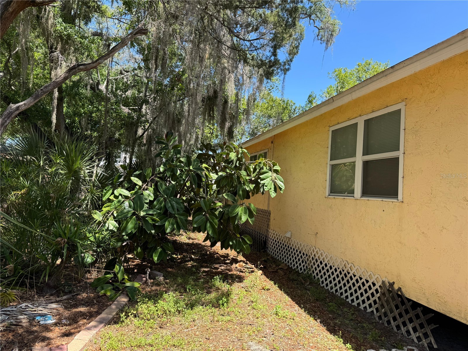 72 Ada Street Tarpon Springs FL 34689 TB8499330 image13