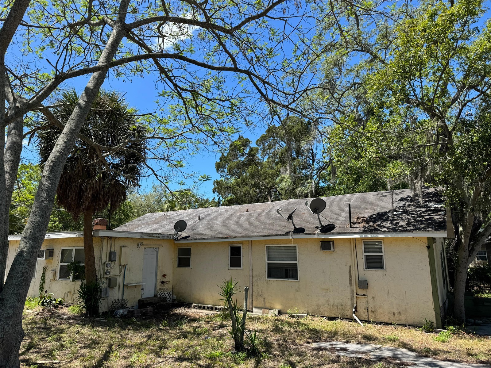 72 Ada Street Tarpon Springs FL 34689 TB8499330 image16