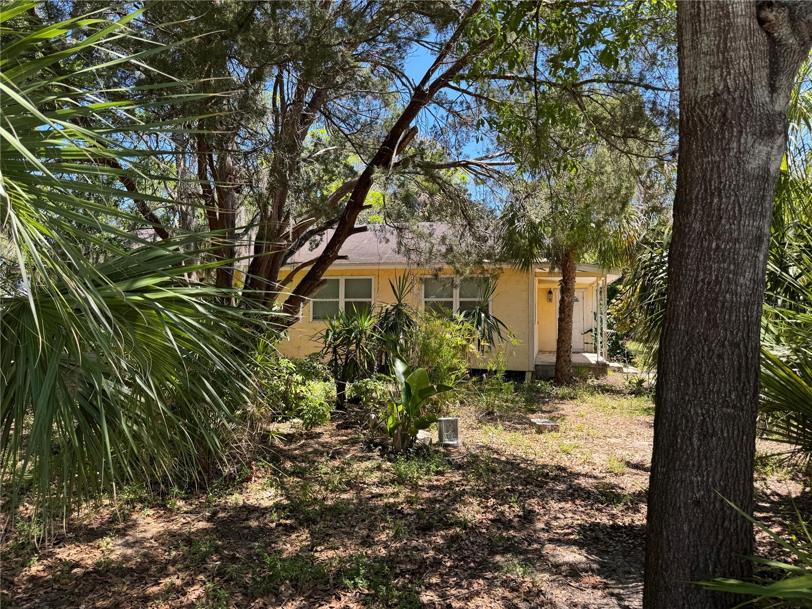 72 Ada Street Tarpon Springs FL 34689 TB8499330 image21