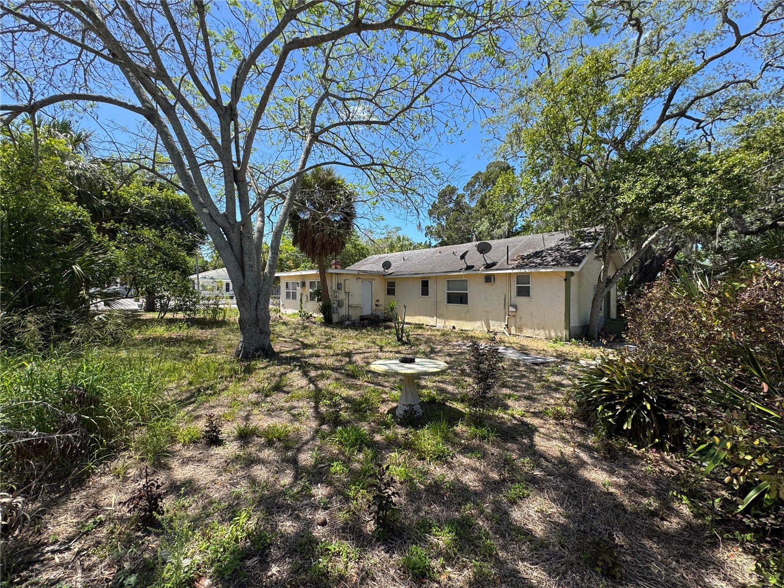 72 Ada Street Tarpon Springs FL 34689 TB8499330 image5