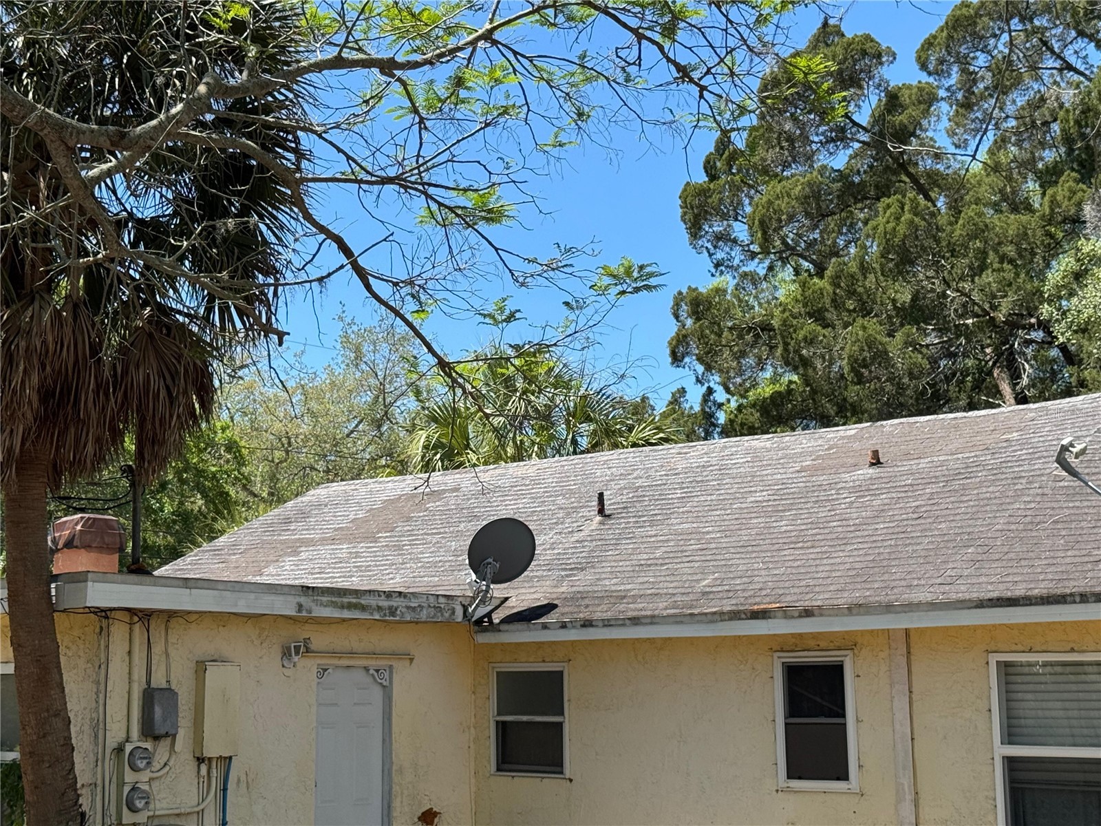 72 Ada Street Tarpon Springs FL 34689 TB8499330 image7