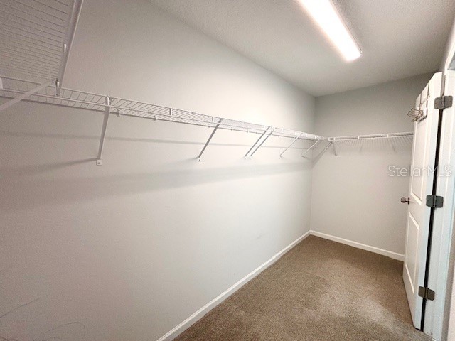 72 Birchfield Lane Saint Augustine FL 32092 S5145950 image32