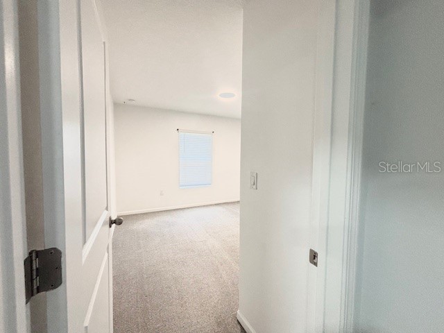 72 Birchfield Lane Saint Augustine FL 32092 S5145950 image39