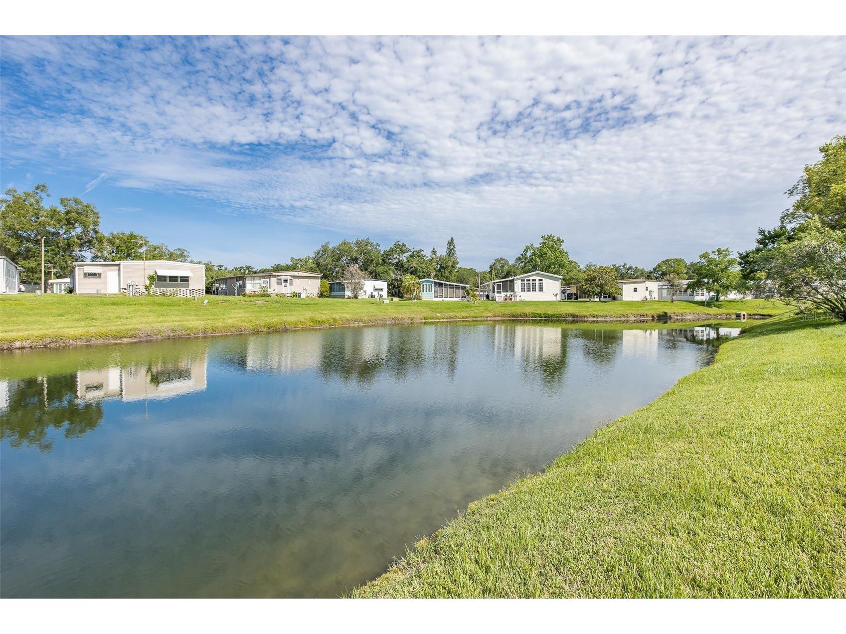 72 Cottagewood Drive #29 Safety Harbor FL 34695 TB8517240 image35