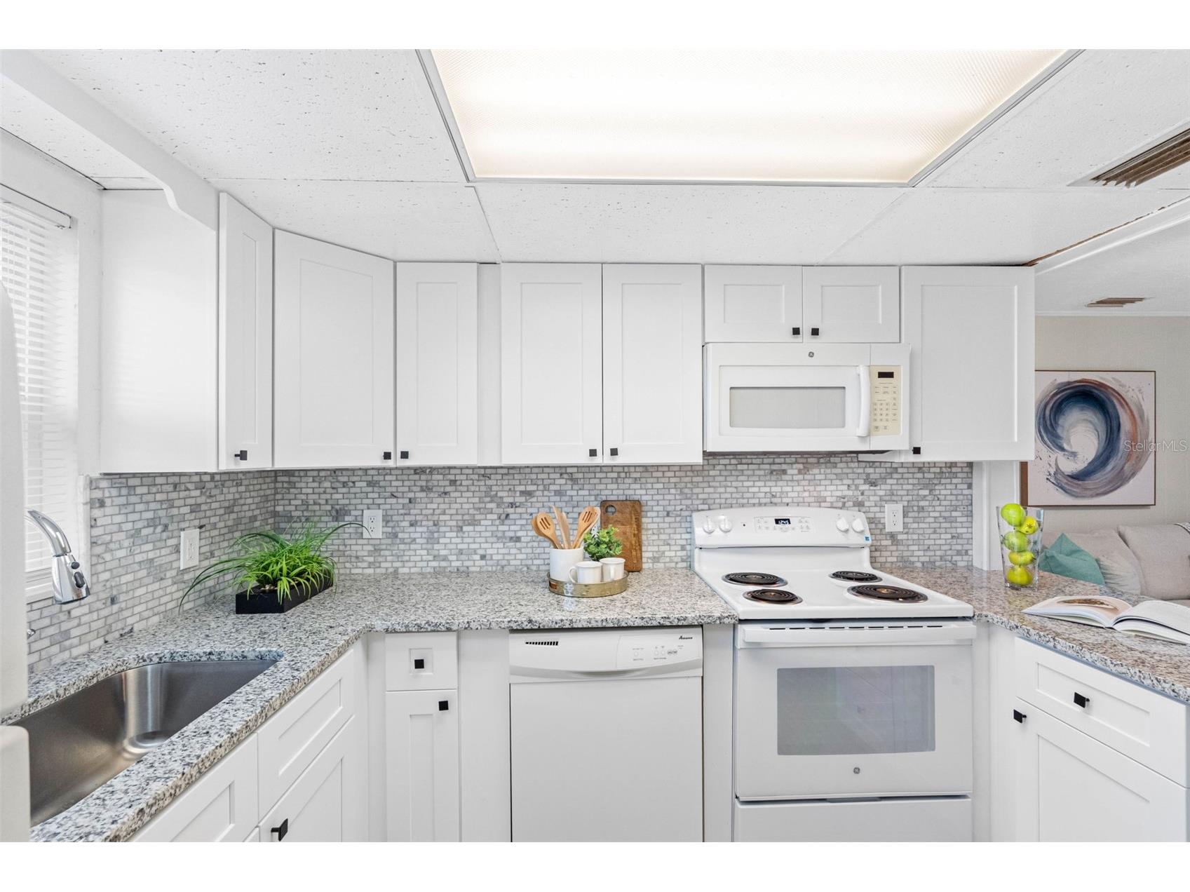 72 Lake Shore Drive Palm Harbor FL 34684 TB8526702 image19