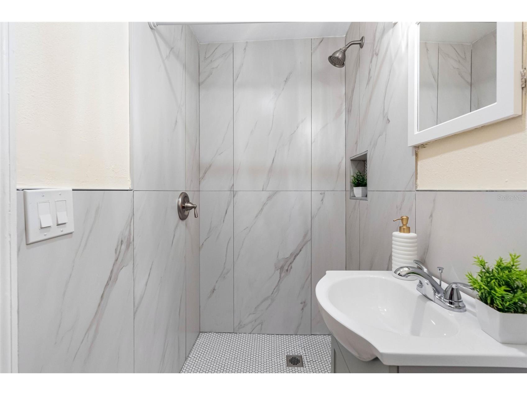 72 Lake Shore Drive Palm Harbor FL 34684 TB8526702 image22