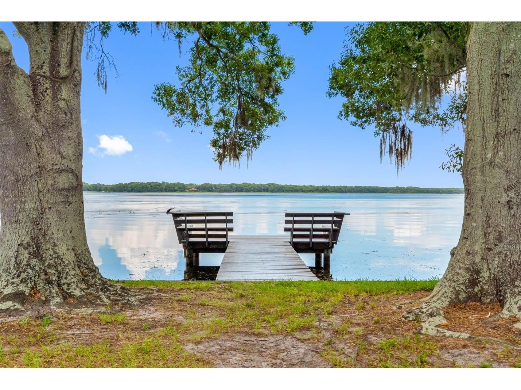 72 Lake Shore Drive Palm Harbor FL 34684 TB8526702 image35