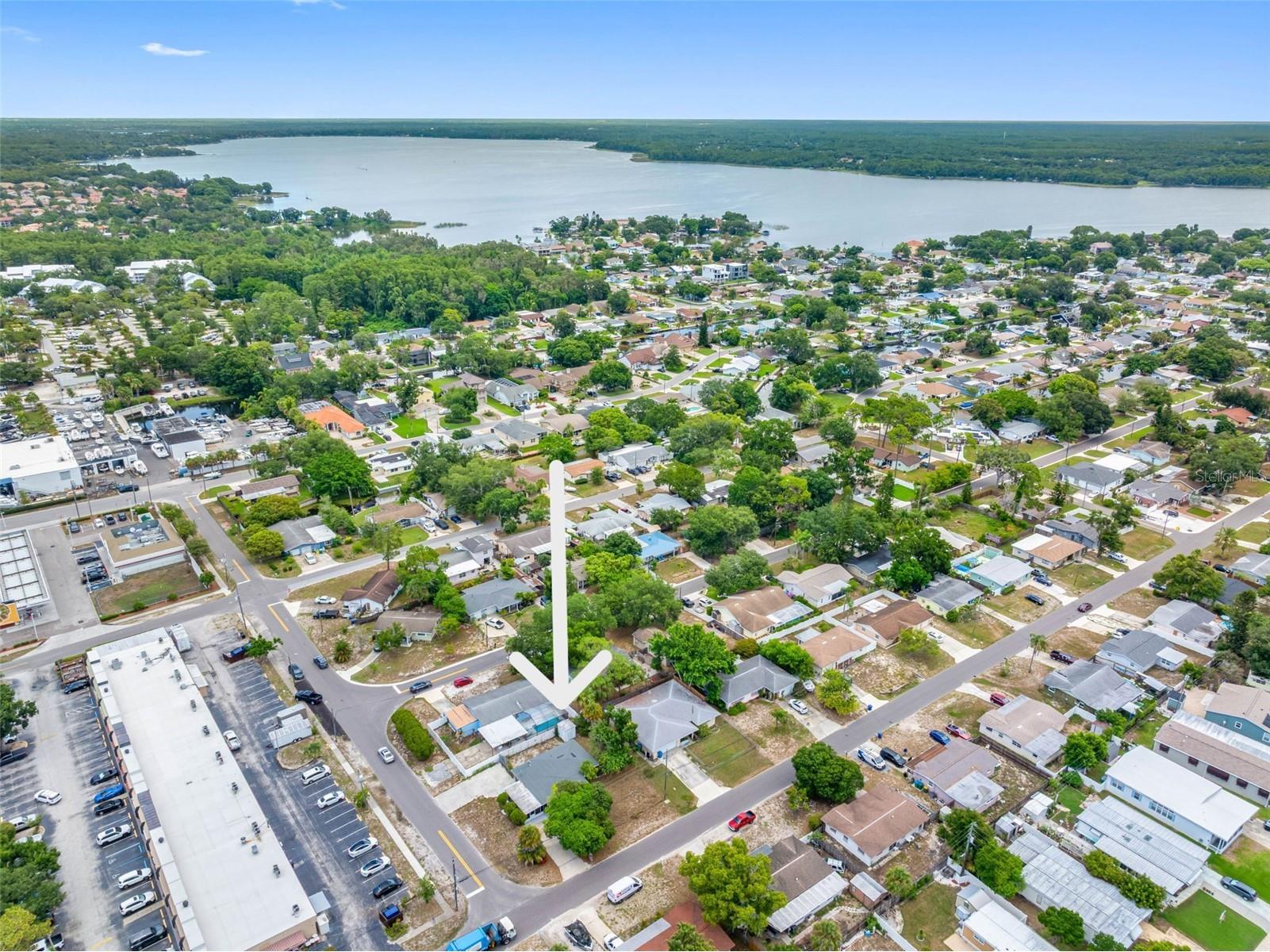 72 Lake Shore Drive Palm Harbor FL 34684 TB8526702 image38
