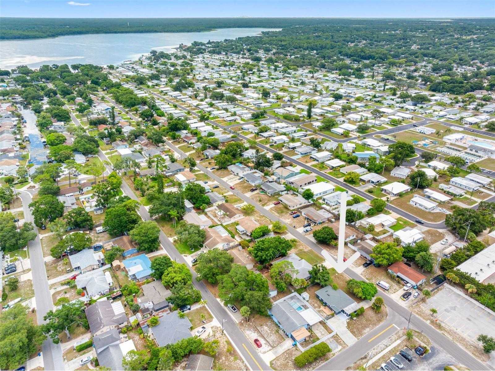 72 Lake Shore Drive Palm Harbor FL 34684 TB8526702 image39