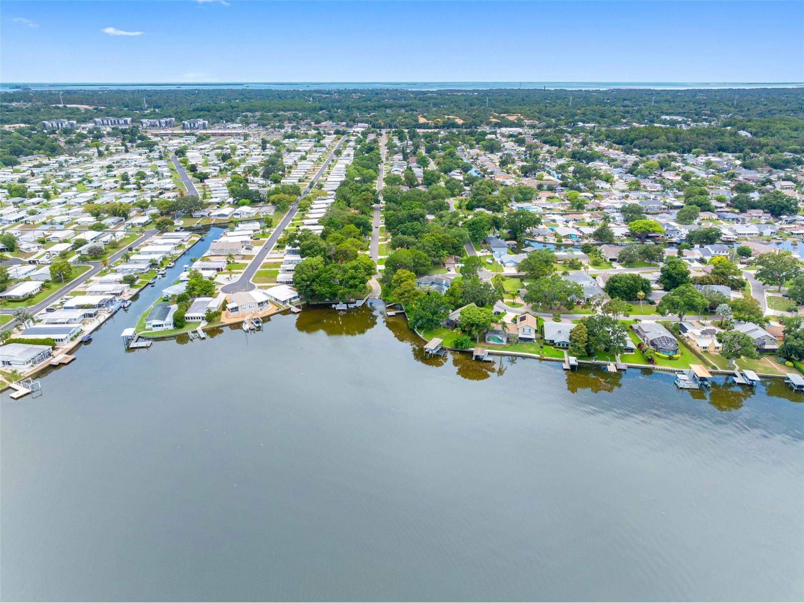 72 Lake Shore Drive Palm Harbor FL 34684 TB8526702 image40