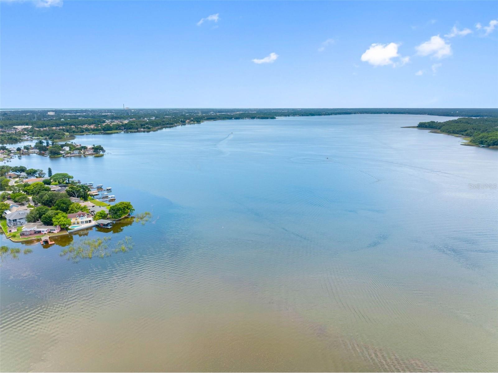 72 Lake Shore Drive Palm Harbor FL 34684 TB8526702 image42