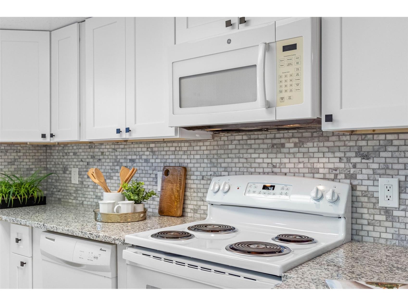 72 Lake Shore Drive Palm Harbor FL 34684 TB8526702 image7